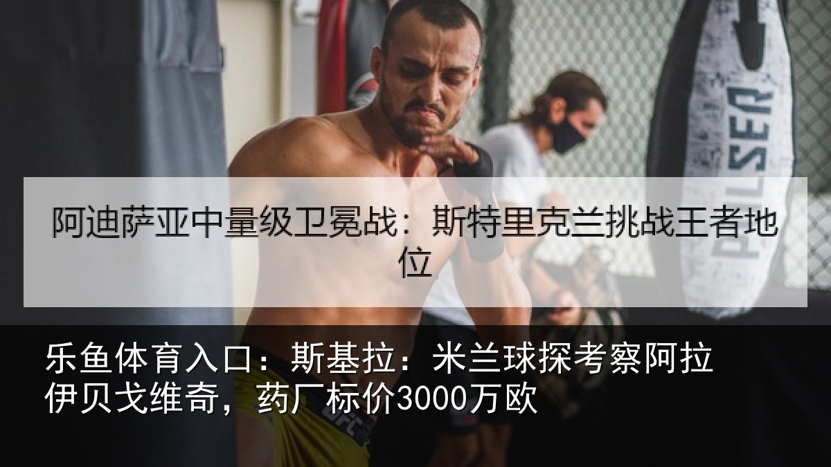 乐鱼体育入口：斯基拉：米兰球探考察阿拉伊贝戈维奇，药厂标价3000万欧
