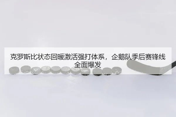 克罗斯比状态回暖激活强打体系，企鹅队季后赛锋线全面爆发