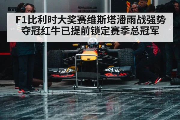 F1比利时大奖赛维斯塔潘雨战强势夺冠红牛已提前锁定赛季总冠军