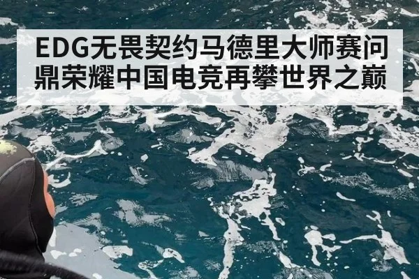 EDG无畏契约马德里大师赛问鼎荣耀中国电竞再攀世界之巅